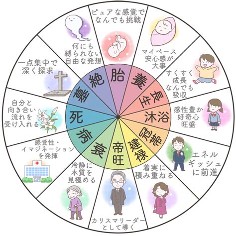 長生十二運|四柱推命の十二運星とは？調べ方から意味までを簡単。